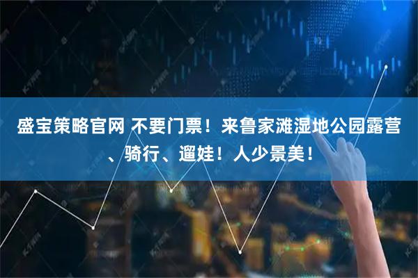 盛宝策略官网 不要门票!来鲁家滩湿地公园露营、骑行、遛娃!人少景美!