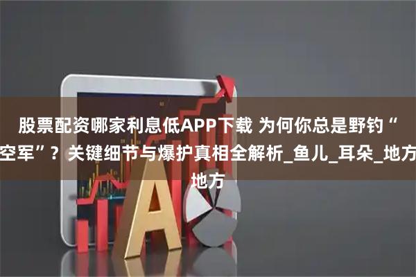 股票配资哪家利息低APP下载 为何你总是野钓“空军”？关键细节与爆护真相全解析_鱼儿_耳朵_地方
